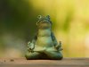 zen-frog.jpg