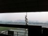 Woodlands 0900.jpg
