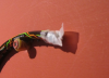 10.png 10.png