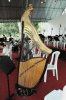 DSC_7594 Chinese Harp b.jpg