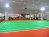Badminton Indonesia 4.jpg