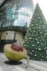 DSC_6336 Giant nutmeg & Xmas tree.JPG25.jpg