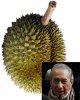 Durian for Stanley Ho.jpg