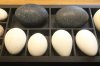 IMG_3302 Black marble eggs.jpg