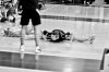 DSC_0284.jpg