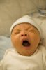 DSC_3664_small.jpg