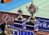 1. DSC_8425 The coverted cups.JPG