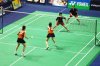 DSC_0151.JPG b.jpg