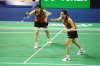DSC_0162.JPG b.jpg