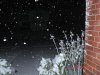 snow in dallas (1).jpg