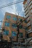 DSC_9663 Tree.JPG B.jpg