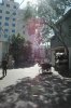 DSC_9657 Side Lane.JPG B.jpg