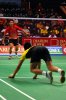 LinDan7.jpg