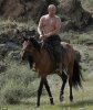Putin 7.jpg