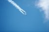 DSC_3117 10.JPG