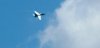 DSC_3220 Jet fighter 10.JPG