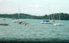 DSC_3939   sail boats.JPG20.jpg