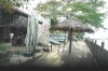 DSC_3955 wooden walkway.JPG20.jpg