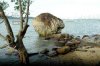 DSC_3973   the rock.JPG20.jpg