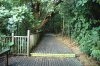 DSC_3986 boardwalk.JPG20.jpg