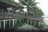 DSC_3990    on stilts.JPG20.jpg