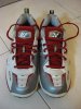 SHW8000-01.jpg