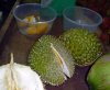 P1020095 Durians lo.jpg