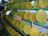 P1020092 Durians lo.jpg