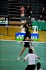 DSC_0577.jpg