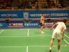 p1010183_w800_h600.jpg