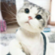 otidh