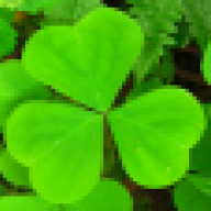 lucida