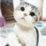 otidh